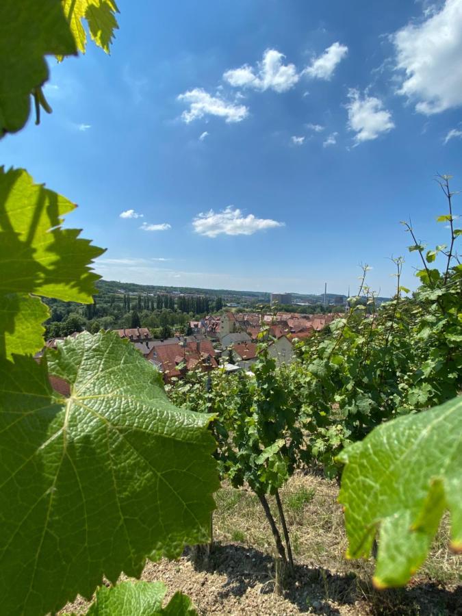Ferienwohnung Wohlsein Фріккенгаузен-ам-Майн Екстер'єр фото